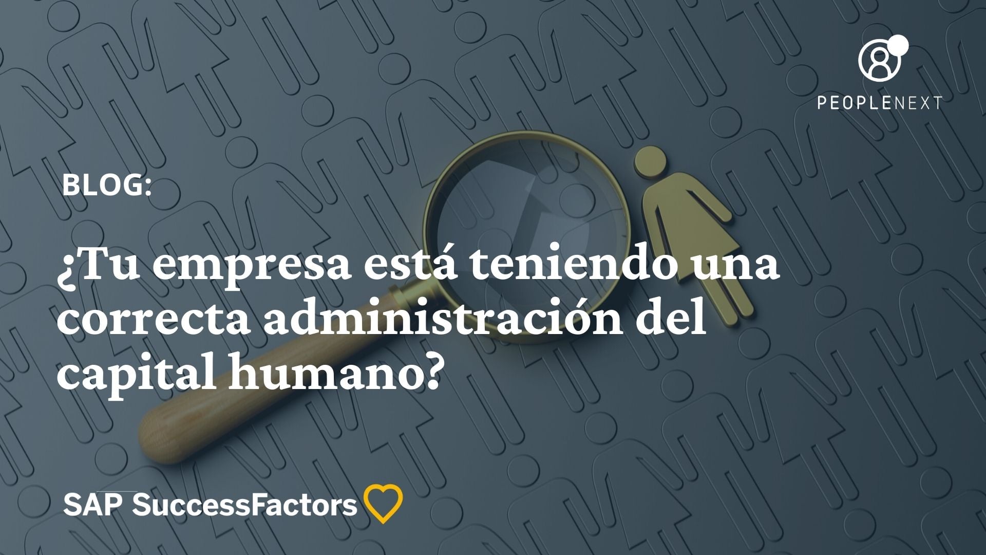 Cómo aplicar la autoevaluación en tu empresa