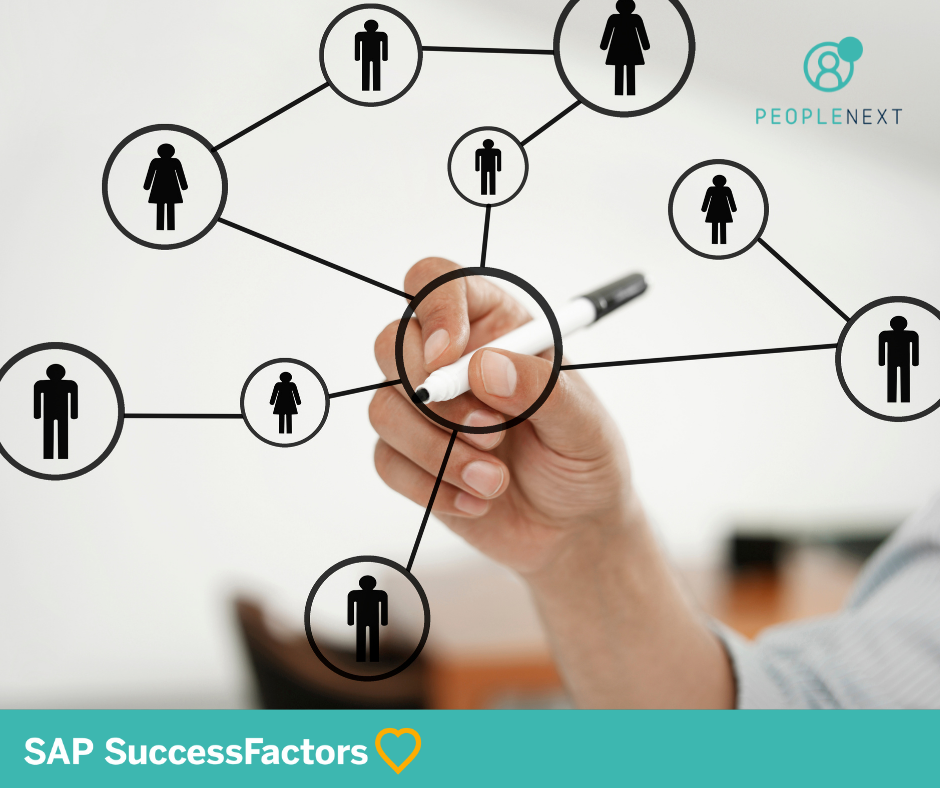 Organigrama de una empresa: 7 pasos clave para crearlo