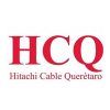 HCQ / Casos de éxito PeopleNext